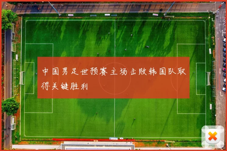 中国男足世预赛主场击败韩国队取得关键胜利